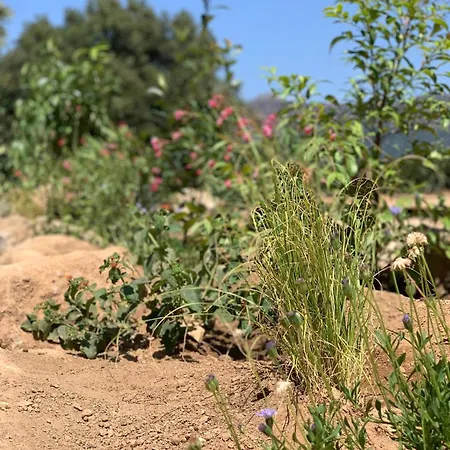 3 Etoiles Pietra Gemina - De Vacances, Au Calme, Avec Piscine Calenzana